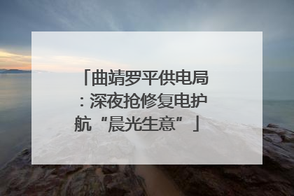 曲靖罗平供电局：深夜抢修复电护航“晨光生意”