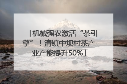 机械强农激活“茶引擎”！清镇中坝村茶产业产能提升50%