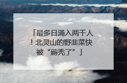 最多日涌入两千人！北灵山的野韭菜快被“薅秃了”