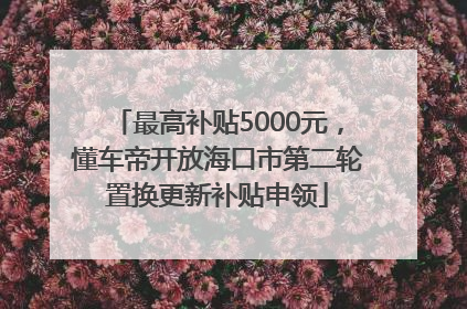 最高补贴5000元，懂车帝开放海口市第二轮置换更新补贴申领