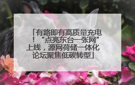 有路即有高质量充电！“点亮东台一张网”上线，源网荷储一体化论坛聚焦低碳转型