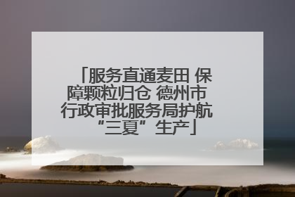 服务直通麦田 保障颗粒归仓 德州市行政审批服务局护航“三夏”生产