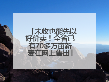 未收也能先以好价卖！全省已有70多万亩新麦在网上售出