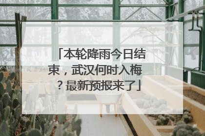 本轮降雨今日结束，武汉何时入梅？最新预报来了
