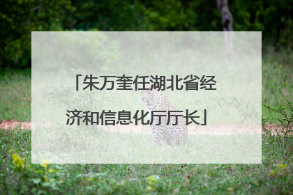 朱万奎任湖北省经济和信息化厅厅长