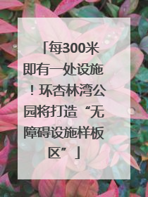 每300米即有一处设施！环杏林湾公园将打造“无障碍设施样板区”