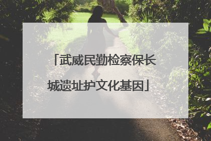 武威民勤检察保长城遗址护文化基因