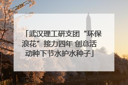武汉理工研支团“环保浪花”接力四年 创意活动种下节水护水种子