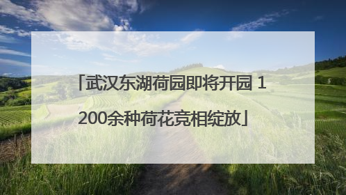 武汉东湖荷园即将开园 1200余种荷花竞相绽放