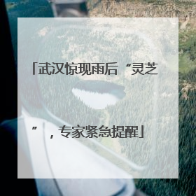武汉惊现雨后“灵芝”，专家紧急提醒