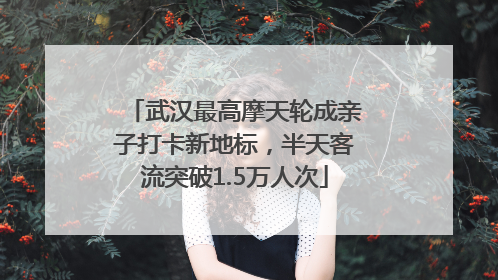武汉最高摩天轮成亲子打卡新地标，半天客流突破1.5万人次