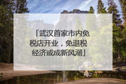 武汉首家市内免税店开业，免退税经济或成新风潮