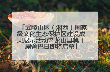 武陵山区（湘西）国家级文化生态保护区建设成果展示活动暨龙山县第十届舍巴日即将启幕