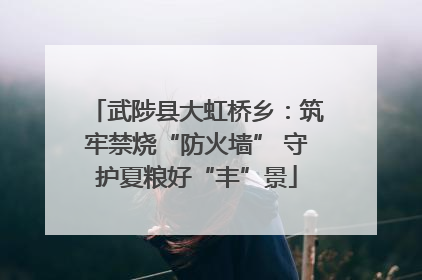 武陟县大虹桥乡：筑牢禁烧“防火墙” 守护夏粮好“丰”景