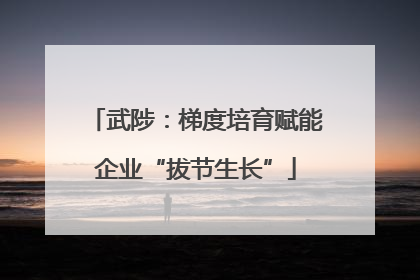 武陟：梯度培育赋能企业“拔节生长”