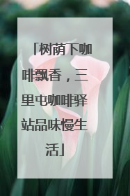 树荫下咖啡飘香，三里屯咖啡驿站品味慢生活