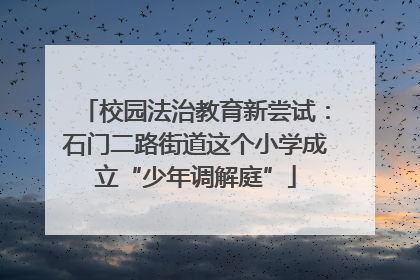 校园法治教育新尝试：石门二路街道这个小学成立“少年调解庭”