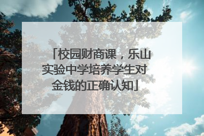 校园财商课，乐山实验中学培养学生对金钱的正确认知