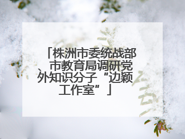 株洲市委统战部、市教育局调研党外知识分子“边颖工作室”