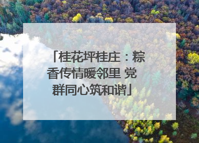 桂花坪桂庄：粽香传情暖邻里 党群同心筑和谐