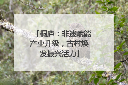 桐庐：非遗赋能产业升级，古村焕发振兴活力