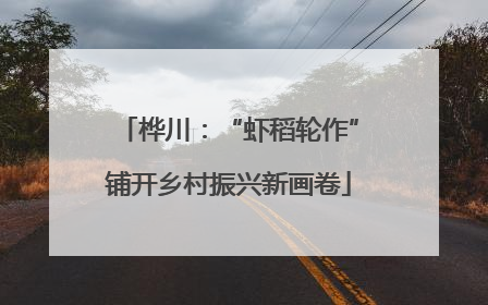 桦川：“虾稻轮作”铺开乡村振兴新画卷