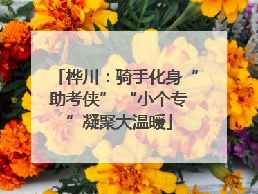 桦川：骑手化身“助考侠” “小个专”凝聚大温暖