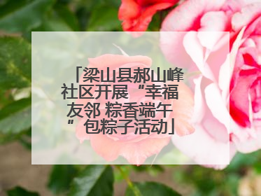 梁山县郝山峰社区开展“幸福友邻 粽香端午”包粽子活动