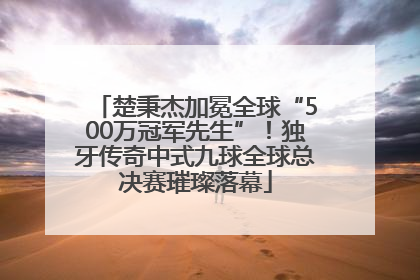 楚秉杰加冕全球“500万冠军先生”！独牙传奇中式九球全球总决赛璀璨落幕