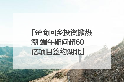 楚商回乡投资掀热潮 端午期间超60亿项目签约湖北