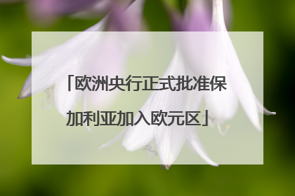 欧洲央行正式批准保加利亚加入欧元区