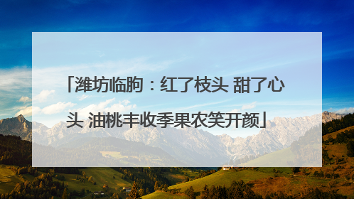 潍坊临朐：红了枝头 甜了心头 油桃丰收季果农笑开颜