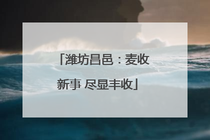 潍坊昌邑：麦收新事 尽显丰收