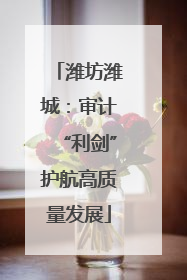 潍坊潍城：审计“利剑”护航高质量发展