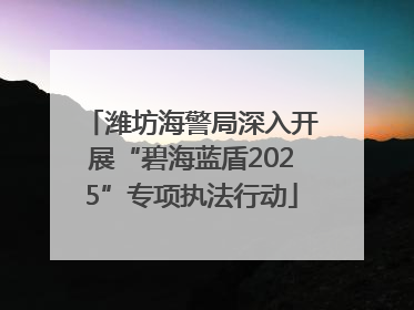 潍坊海警局深入开展“碧海蓝盾2025”专项执法行动