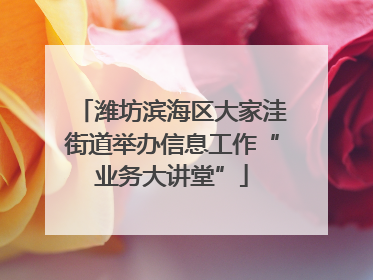 潍坊滨海区大家洼街道举办信息工作“业务大讲堂”