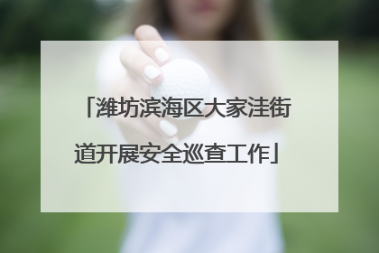 潍坊滨海区大家洼街道开展安全巡查工作