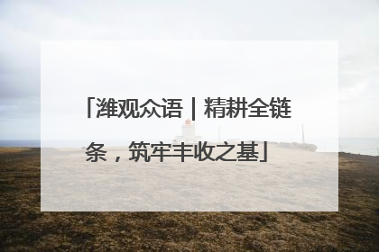 潍观众语｜精耕全链条，筑牢丰收之基