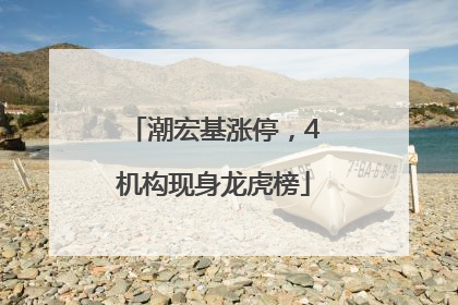 潮宏基涨停，4机构现身龙虎榜