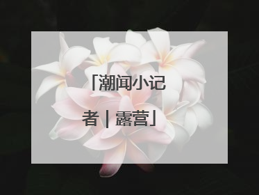 潮闻小记者｜露营