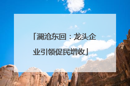 澜沧东回：龙头企业引领促民增收