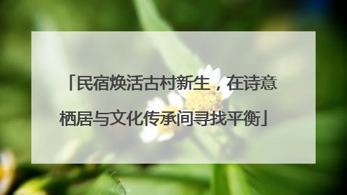 民宿焕活古村新生，在诗意栖居与文化传承间寻找平衡