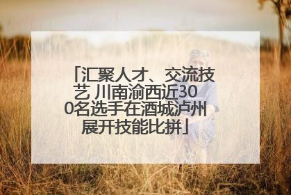 汇聚人才、交流技艺 川南渝西近300名选手在酒城泸州展开技能比拼