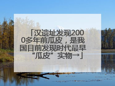 汉遗址发现2000多年前瓜皮，是我国目前发现时代最早“瓜皮”实物→