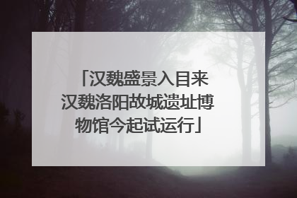 汉魏盛景入目来 汉魏洛阳故城遗址博物馆今起试运行