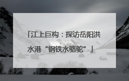 江上巨构：探访岳阳洪水港“钢铁水骆驼”