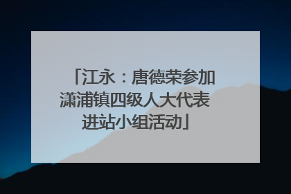 江永：唐德荣参加潇浦镇四级人大代表进站小组活动