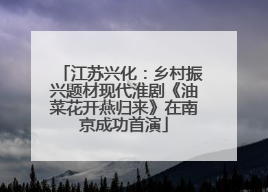 江苏兴化：乡村振兴题材现代淮剧《油菜花开燕归来》在南京成功首演