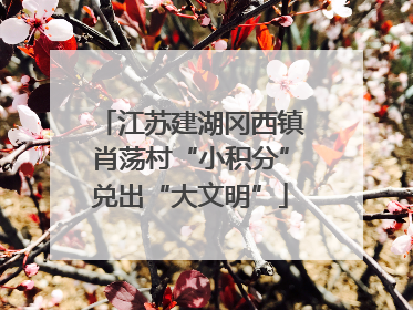 江苏建湖冈西镇肖荡村“小积分”兑出“大文明”