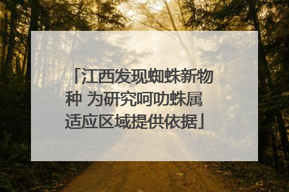 江西发现蜘蛛新物种 为研究呵叻蛛属适应区域提供依据